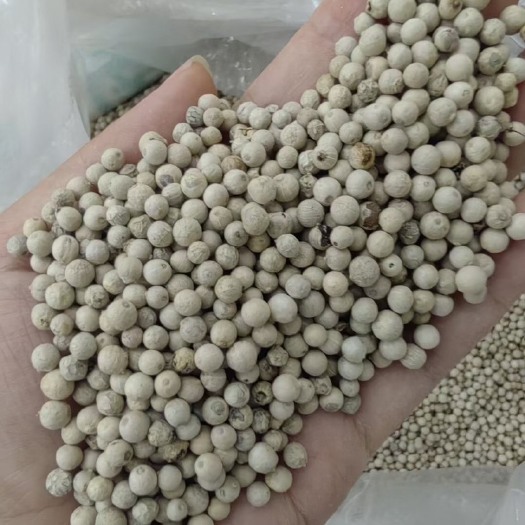 玉林海南精品白胡椒足干一手货源散装批发