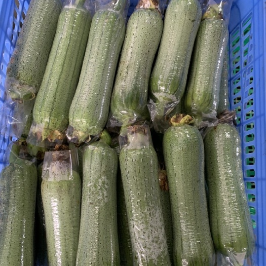长沙县青丝瓜