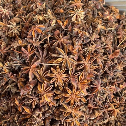 广西无硫大红八角散装批发一手货源