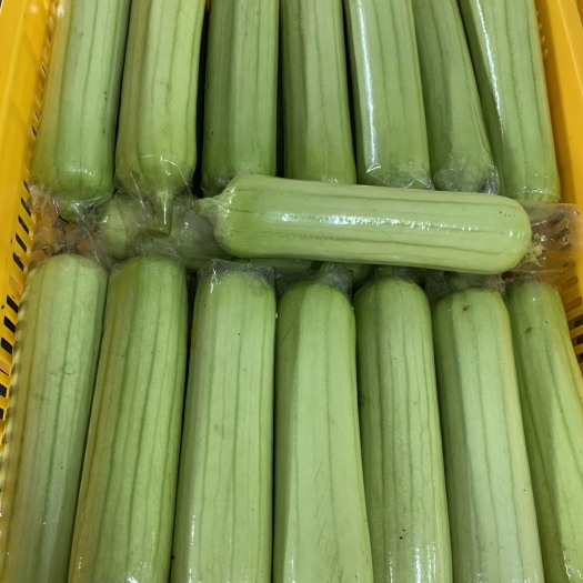 长沙县精品白玉丝瓜