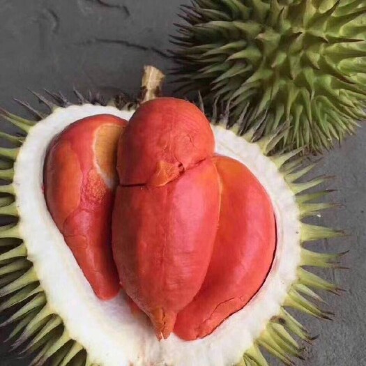 临沂越南，印尼红心，黄心金枕榴莲