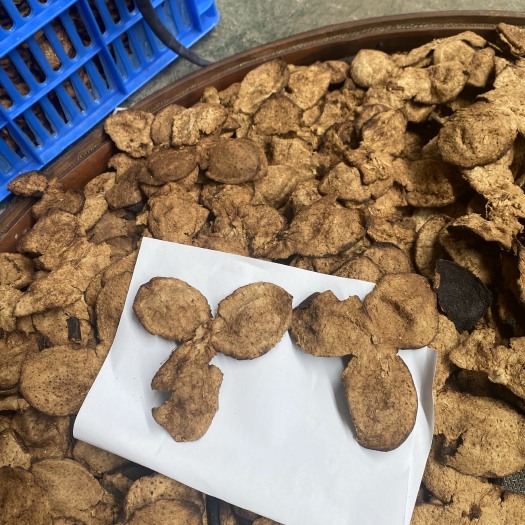 精选 直板皮