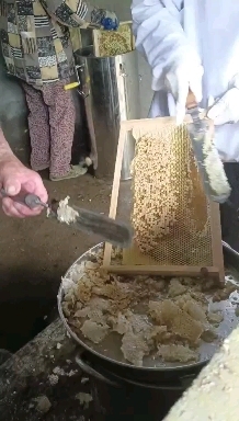 奉新县蜂蜜