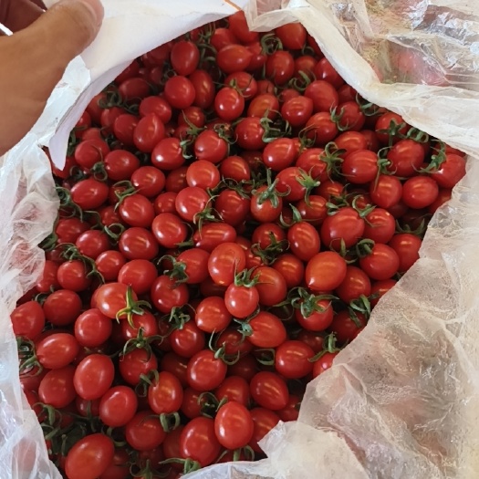 平度市釜山88，首尔红精品通货，大量有货产地直发