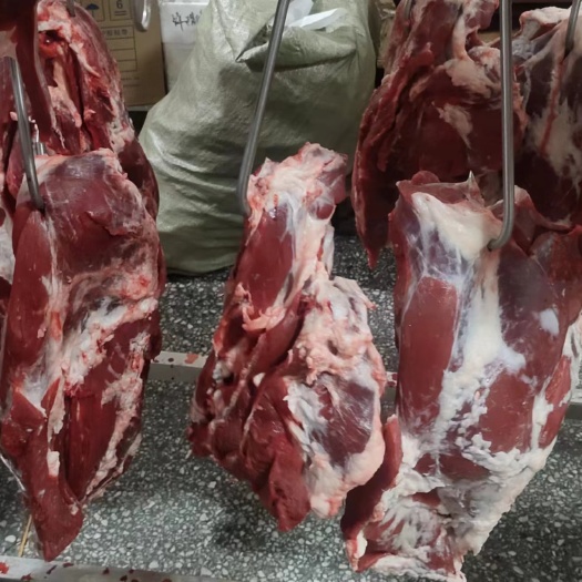 清真纯干鲜牛肉，手续齐全一手货源，精修去油去筋，公牛肉