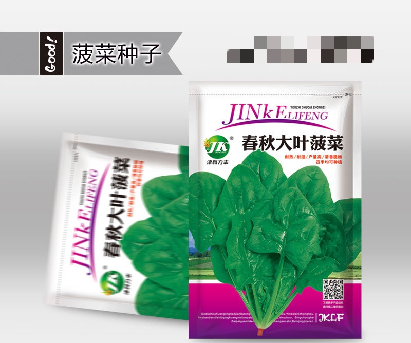 四季耐抽苔菠菜种子抗热耐寒厚肉深绿大叶圆叶蔬菜种子