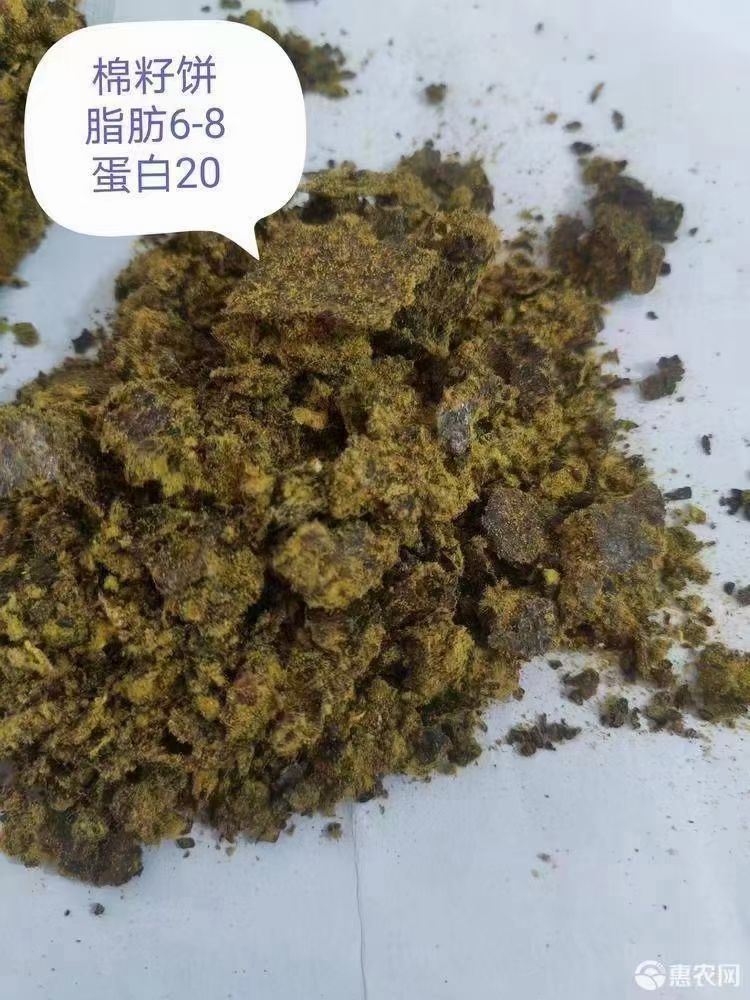 厂家直销棉籽饼质量稳定价格便宜​