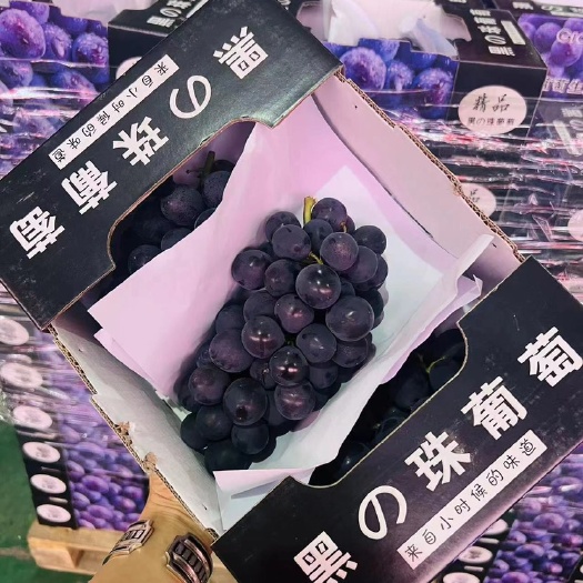 慈溪市黑珍珠巨峰葡萄！！对接市场，社区团购等平台