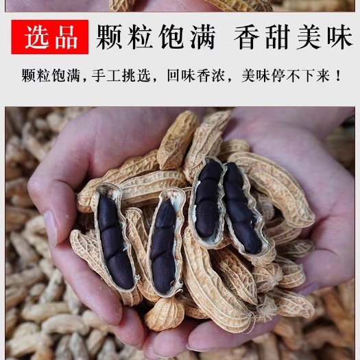 云南特产富硒干黑花生大供应链货批发