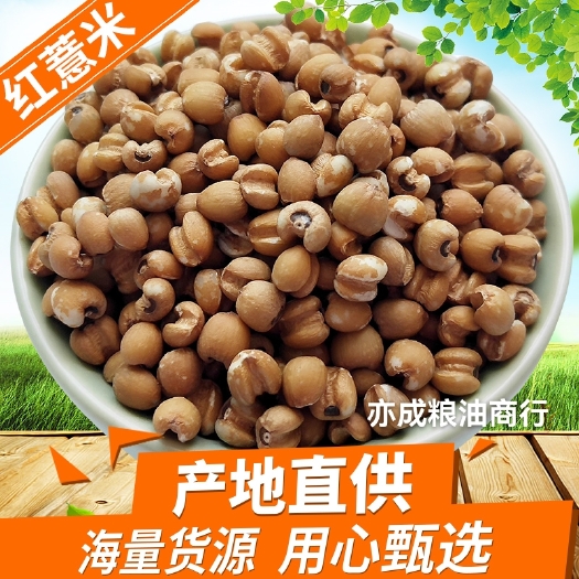 生薏仁批发 红薏仁米贵州高原苡仁米25kg杂粮薏米