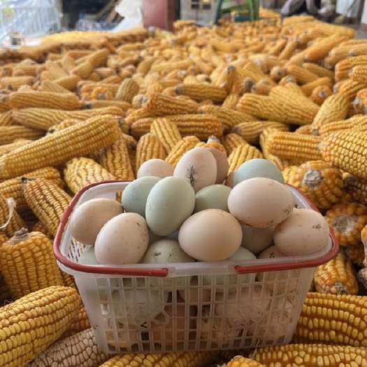 麻栗坡县土鸡蛋