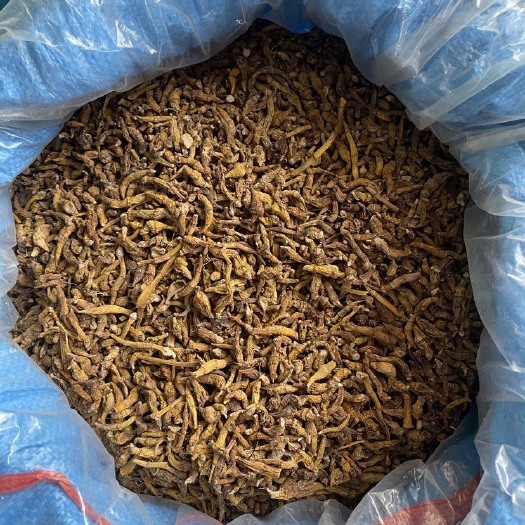 东兴市虎牙石斛，石斛：颜色如图，实物拍摄