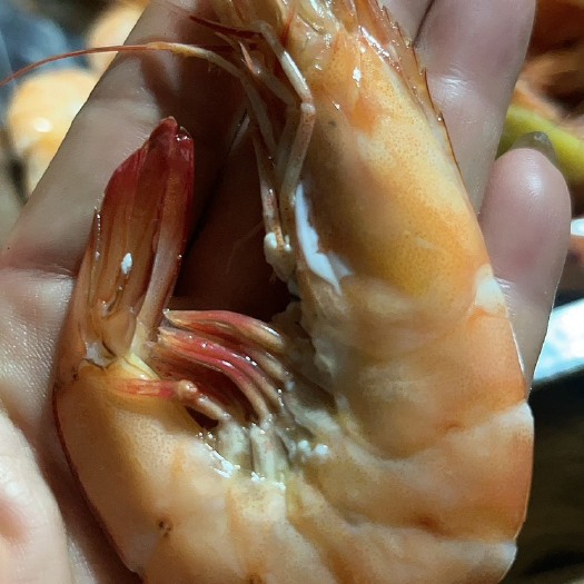 佛山南美白对虾，自养，供应电商餐饮可合作，有兴趣可以详聊  。