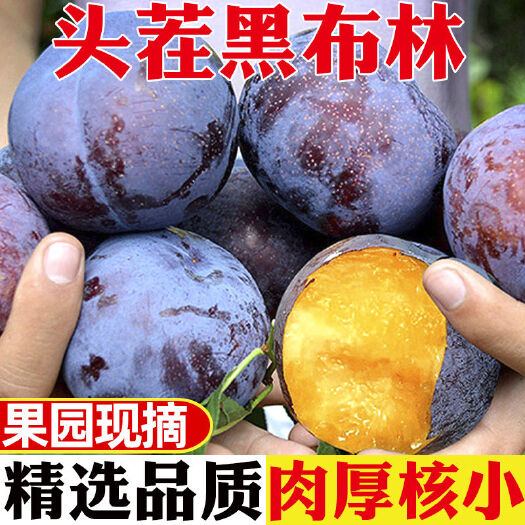 甜口黑布林。