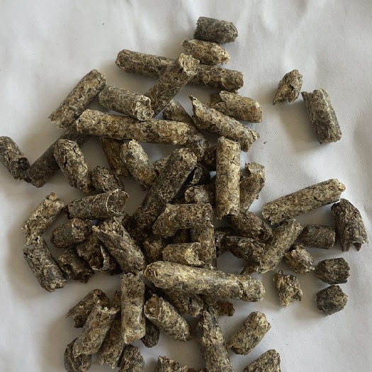 天津甜菜粕颗粒，埃及，俄罗斯都有货