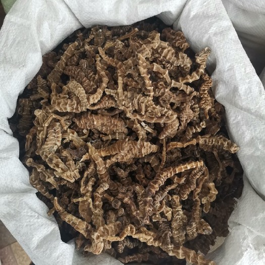 玉林【地参】云南虫草参顶天柱阳鞭劲泡茶不老草回阳草泡酒煲汤