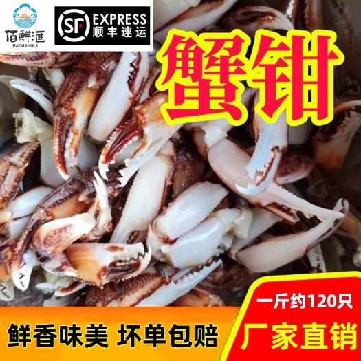 蟹钳批发冷冻新鲜蟹腿梭子蟹醉蟹钳原料麻辣蟹钳鲜活水产蟹钳商用