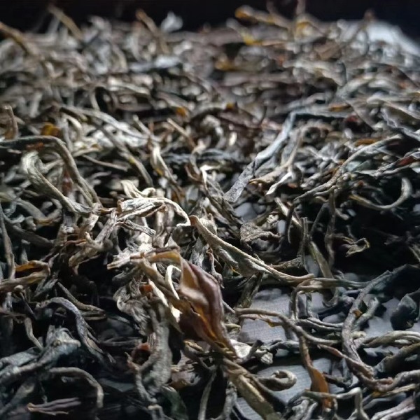 老挝生态古树茶，树龄400年以上，价格优势。 30吨