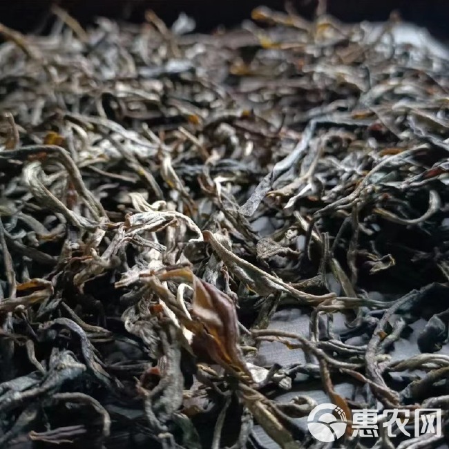 老挝生态古树茶，树龄400年以上，价格优势。 30吨