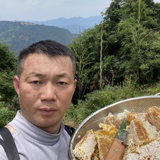 高山百花蜜