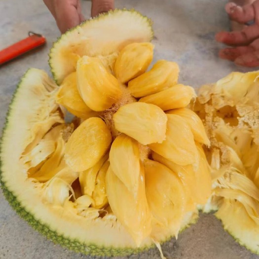 珍珠榴莲蜜