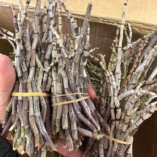 精选云南芒市干石斛条大货供应链批发