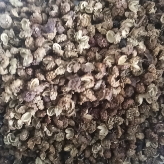 三都县青花椒