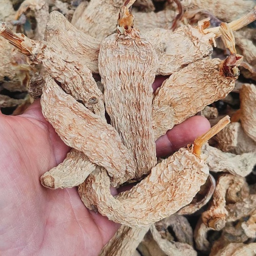 商南县秦岭深山出苔天麻，道地药材，无硫全干，适合炖汤泡酒