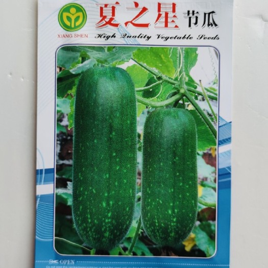 蔬菜种子  夏之星节瓜种子（10克）耐热优质七星节瓜品种