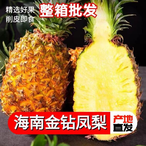 【热品】海南金钻凤梨新鲜水果凤梨甜当季热销水果整箱批发