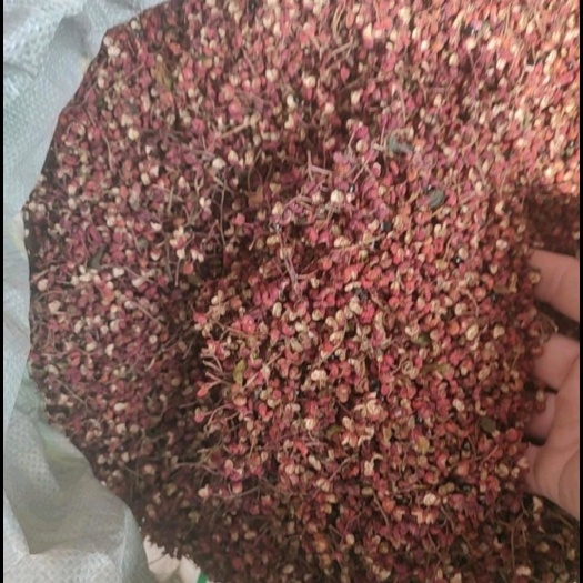 涉县涉县特产大红袍花椒