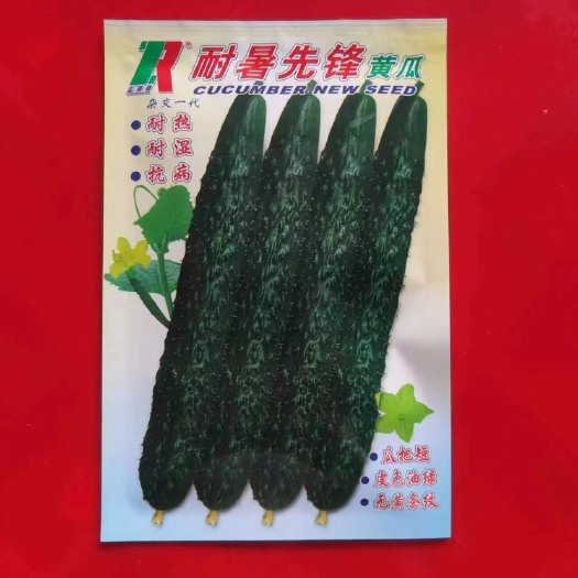 广州蔬菜水果种子 耐署先锋黄瓜（20克）耐热刺青瓜品种 高温可结