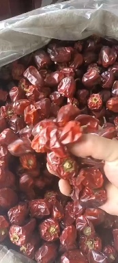 漯河贵州灯笼椒