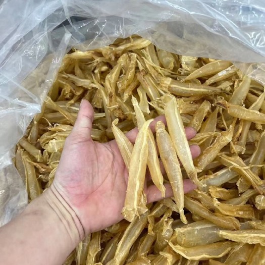广州足干双牙金龙筒160头