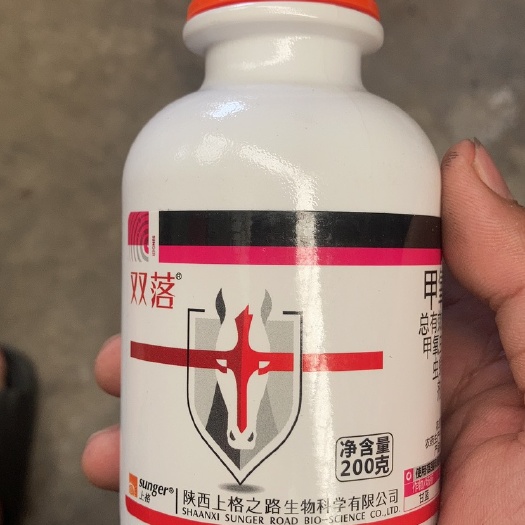 枣庄上格双落