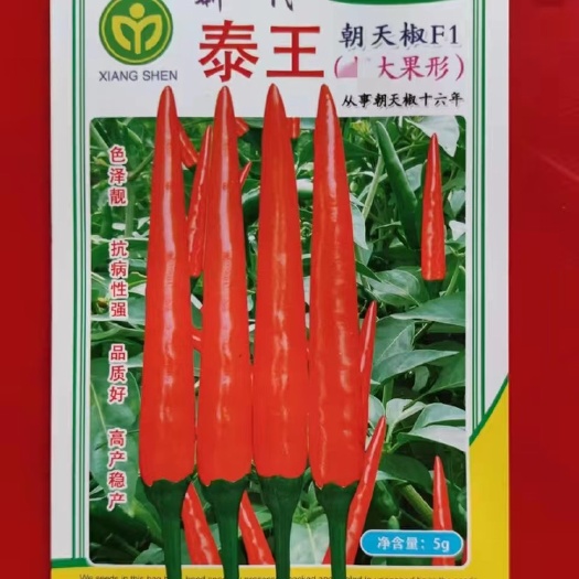 广州包邮 泰王朝天椒种子5克装泰国杂交超大果型朝天椒新小米椒品种