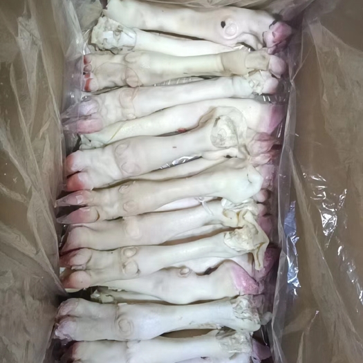 郓城县水退小白羊蹄