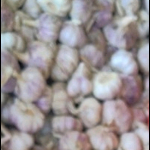 徐州170斤蒜有要的吗
