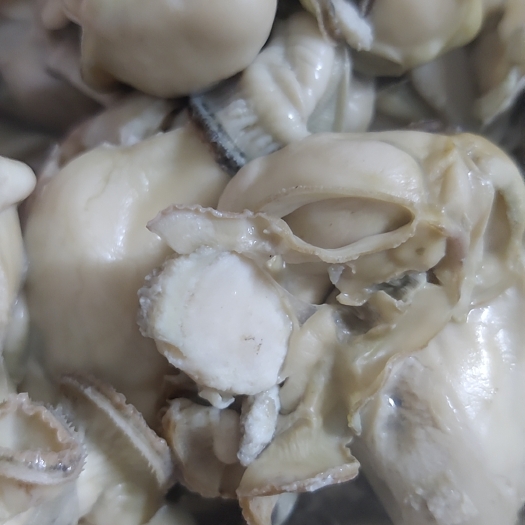 深圳精品肥度，深圳送货上门