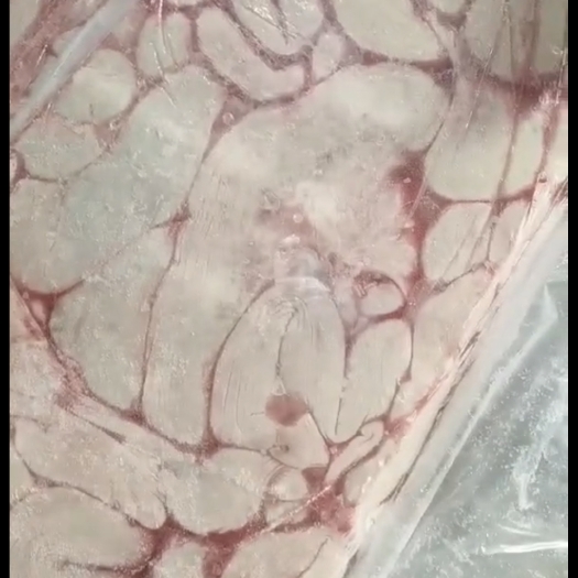 夏邑县母猪大花肠中花肠