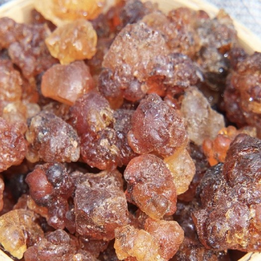 枣阳市大量桃胶出售