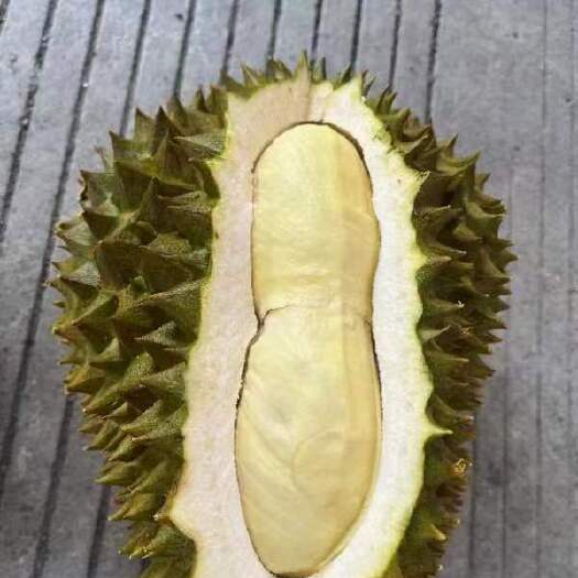 东兴市越南金枕榴莲。保品质，保售后。