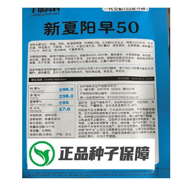 夏阳早48 50白菜种子 耐热 早熟大白菜种籽 抗