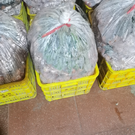 东莞市桂味荔枝