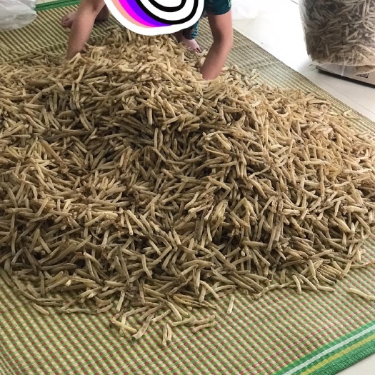 长沙沙虫干