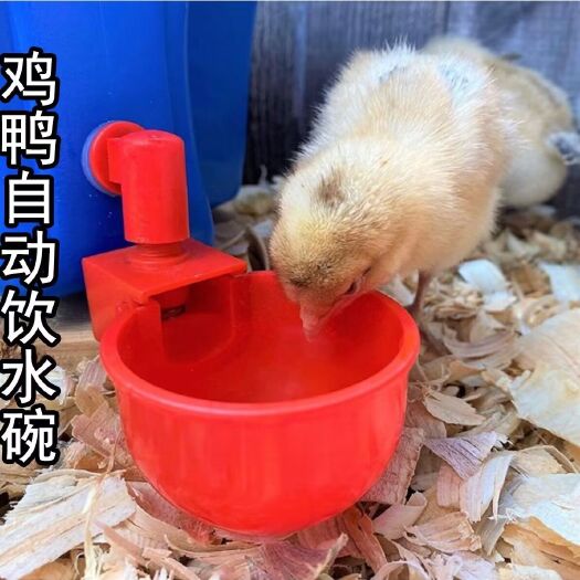 鸡鸭鹅兔用饮水器水碗原料自动家畜饮水器