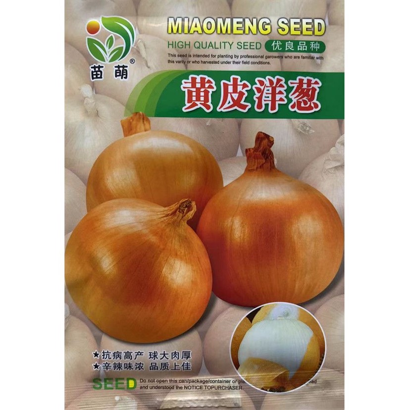 红皮洋葱种子紫红皮洋葱种子洋葱种子黄皮洋葱种子种籽