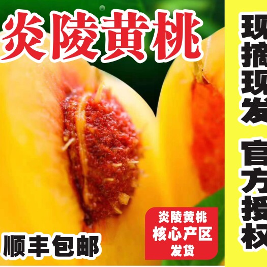 炎陵县炎陵黄桃，锦绣黄桃，官方授权店