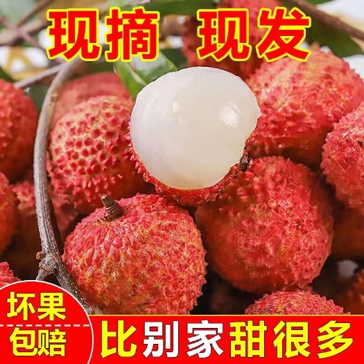 上林县荔枝