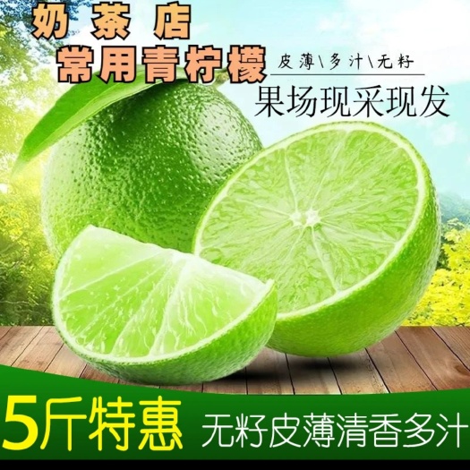 饶平县青柠檬